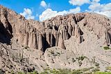 Formazioni rocciose e cactus, Salta