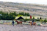 A cavallo, El Calafate