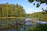 01 - Lago Pitkjrvi, Nuuksio, Finlandia