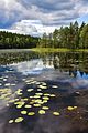 02 - Lago Holma-Saarijrvi, Nuuksio, Finlandia